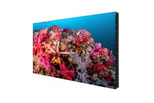  Фото дисплей для видеостен eliteboard 55" bb557ffbed - фото 2