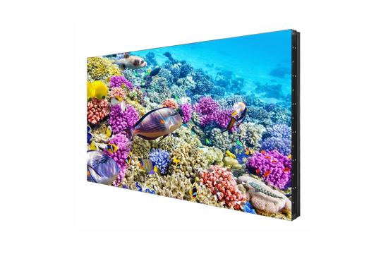  Фото дисплей для видеостен eliteboard 55" bk557ffle - фото 2