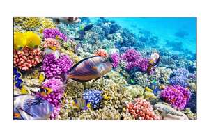  Фото видеостена 3x2 eliteboard 55" bk557ffle - фото 3