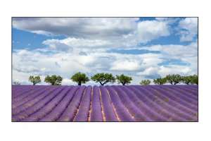  Фото видеостена 4x4 eliteboard 55" pk555fdln - фото 3