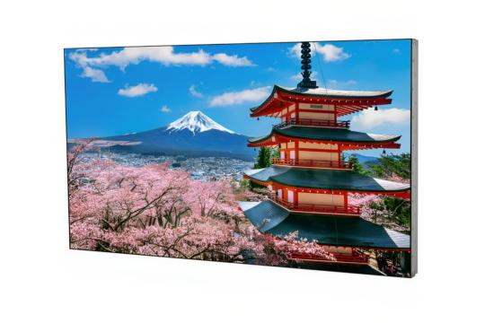 Фото дисплей для видеостен eliteboard 55" pk555ffln - фото 5