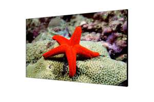  Фото видеостена 4x3 hikvision 46" ds-d2046lu-y - фото 3