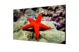  Фото видеостена 4x3 hikvision 55" ds-d2055hr-g - фото 3