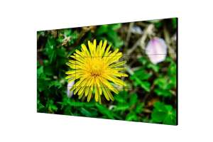  Фото видеостена 4x3 hikvision 55" ds-d2055le-g - фото 3