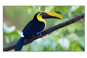  Фото видеостена 3x2 exell 55" expd-wa55ab35 - фото 3